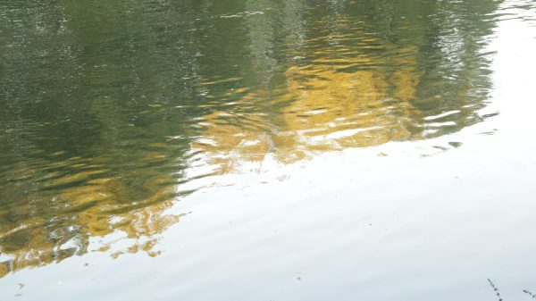 Sireñoras, de Charo Zeballos