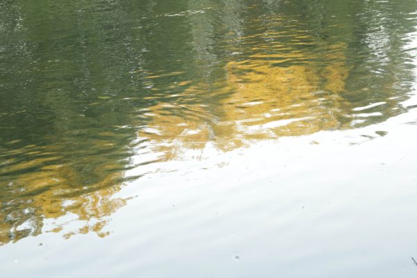 Sireñoras, de Charo Zeballos