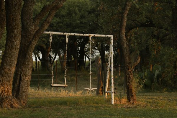 El culpado, de Marcela Gottschald